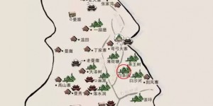 易武白茶園——白茶古樹